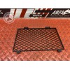 Grille de radiateur 