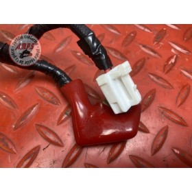 Cable de batterie 