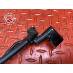 Cable de masse 
