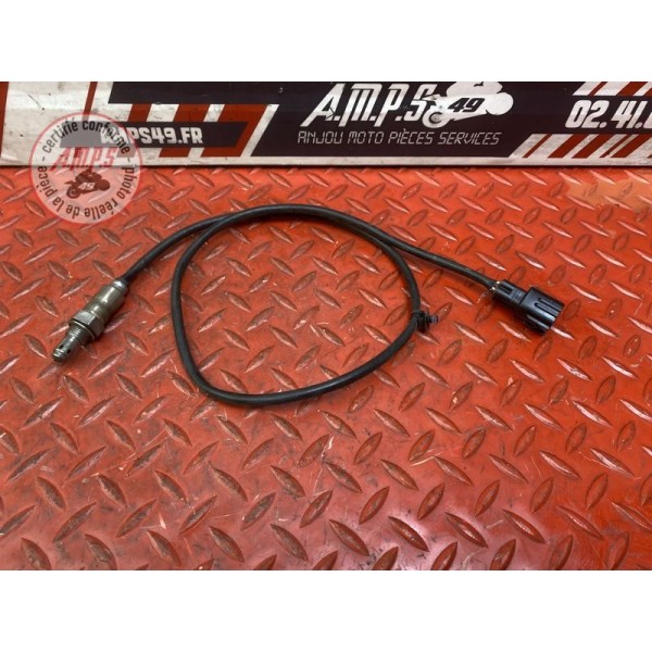 Sonde lambda
