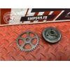 Kit de pignon moteur 