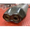 Silencieux Akrapovic 