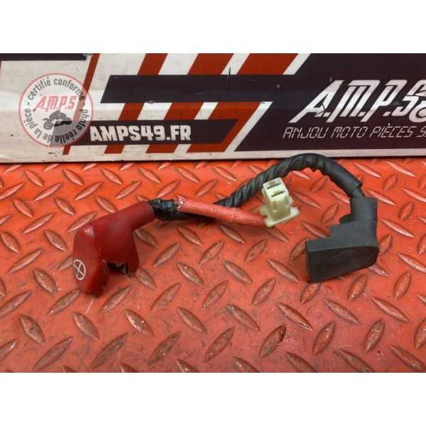 Cable de batterie