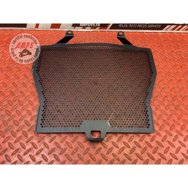 Grille de radiateur d'eau 