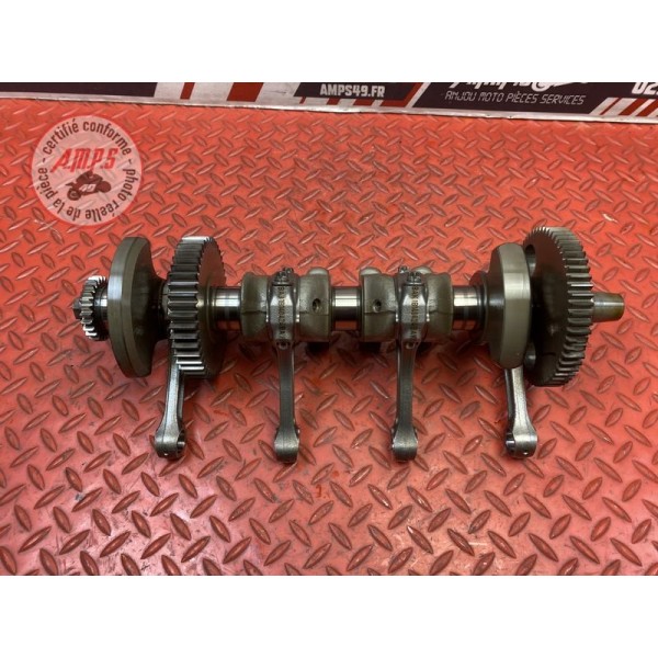 Vilebrequin avec bielles 