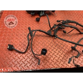 Faisceau électrique principale 