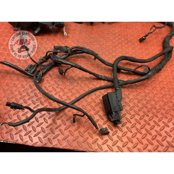 Faisceau électrique principale 