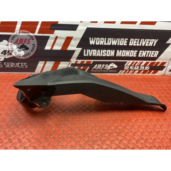 Cache sur flanc de carénage gauche 