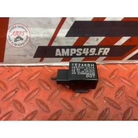 Centrale clignotante 