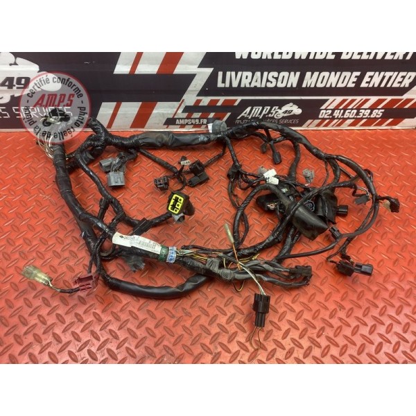 Faisceau électrique principale 