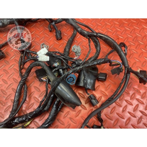 Faisceau électrique principale 