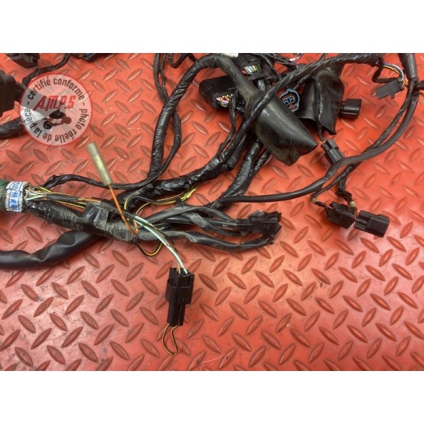 Faisceau électrique principale 