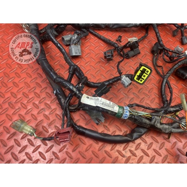 Faisceau électrique principale 