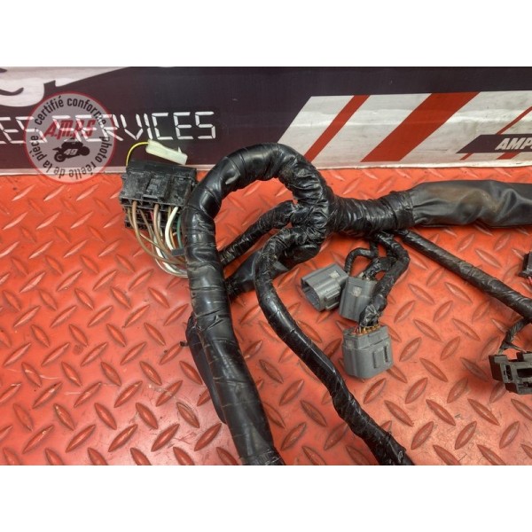 Faisceau électrique principale 