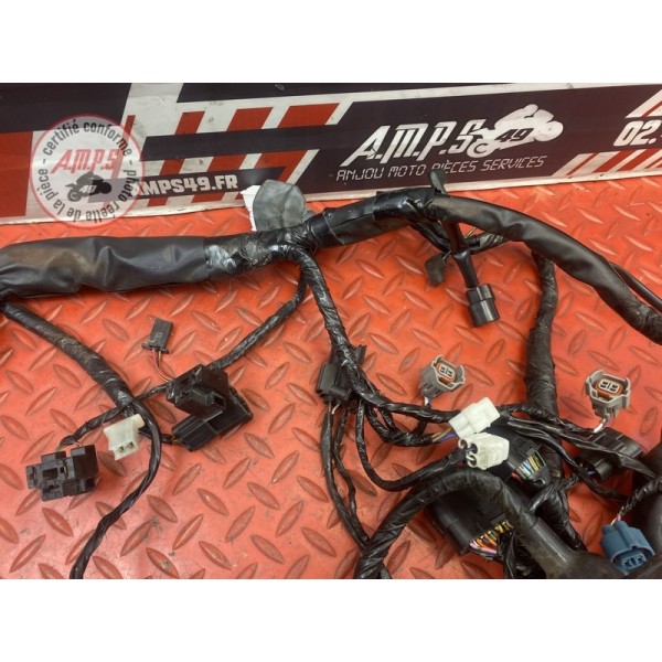 Faisceau électrique principale 