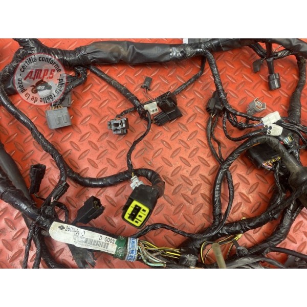 Faisceau électrique principale 