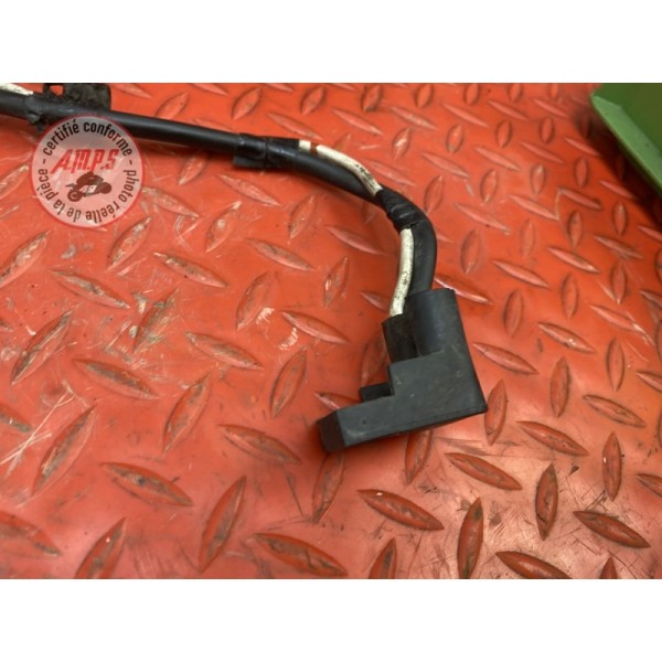 Cable de batterie 