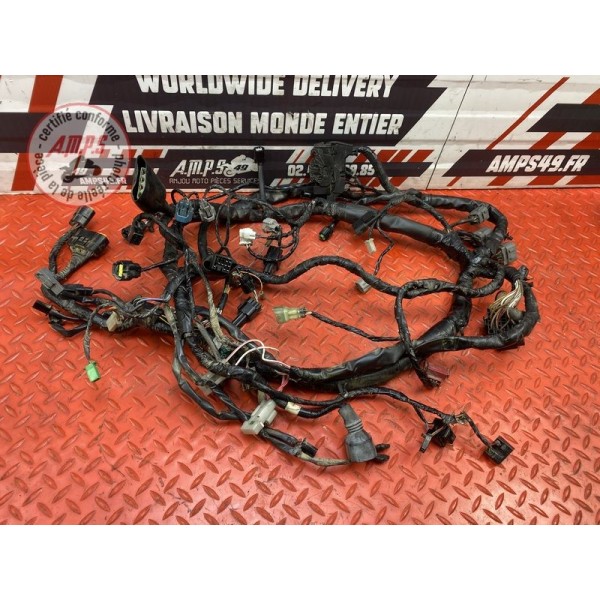 Faisceau électrique principale 