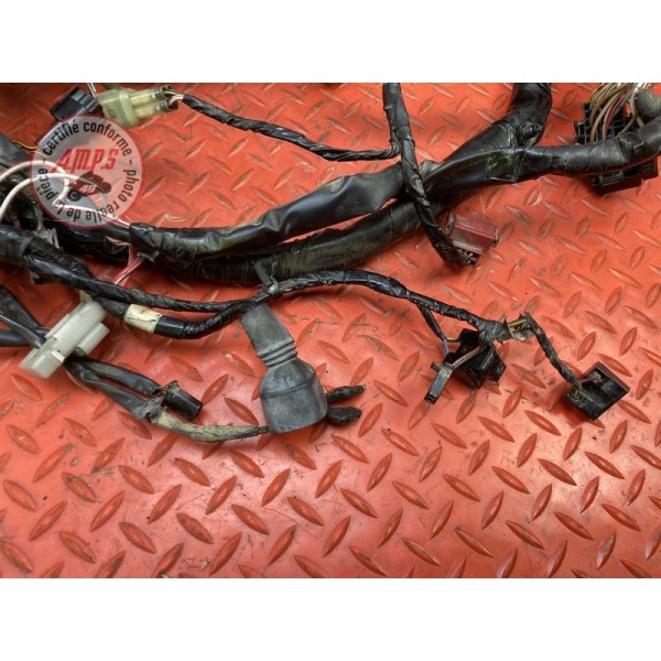 Faisceau électrique principale 