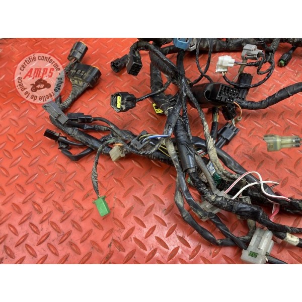 Faisceau électrique principale 