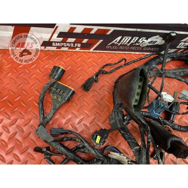 Faisceau électrique principale 