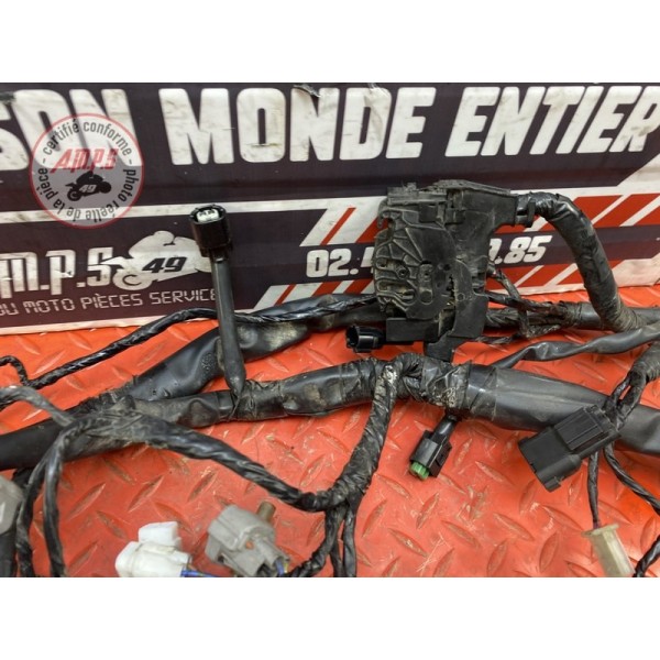 Faisceau électrique principale 