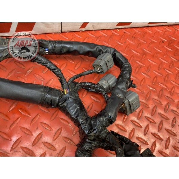 Faisceau électrique principale 