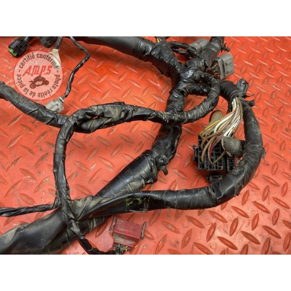 Faisceau électrique principale 