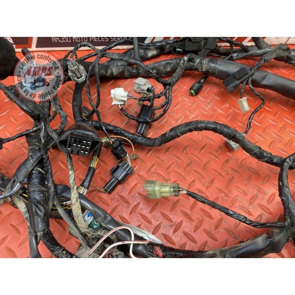 Faisceau électrique principale 