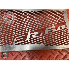 Grille de radiateur adaptable 