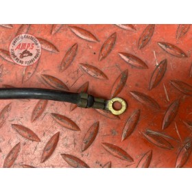 Cable de masse 