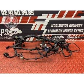 Faisceau électrique principale 