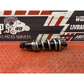 Amortisseur arrière 