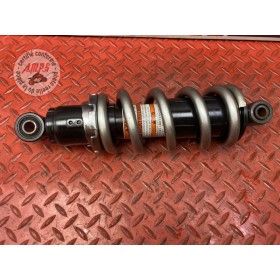 Amortisseur arrière 