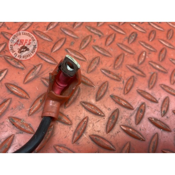 Cable de batterie 