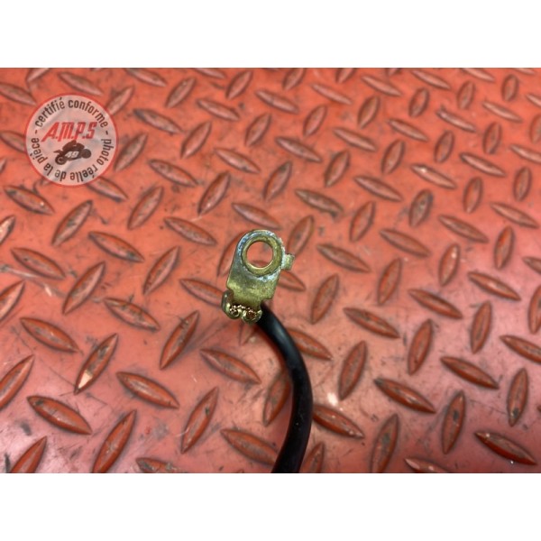 Cable de batterie 