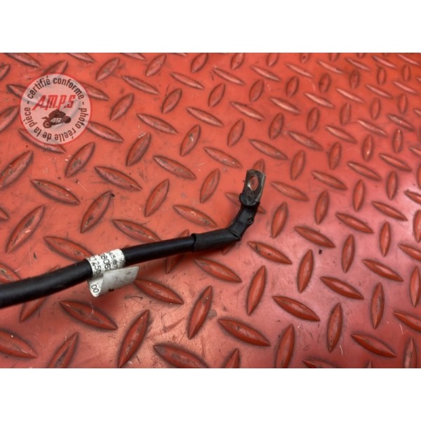 Cable de masse 
