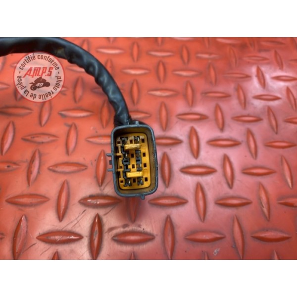 Kit neiman avec boitier immobilisateur 