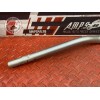 Guidon 