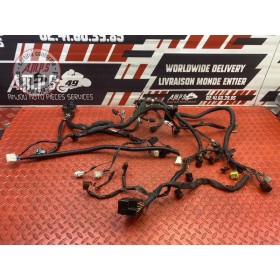 Faisceau électrique principale 