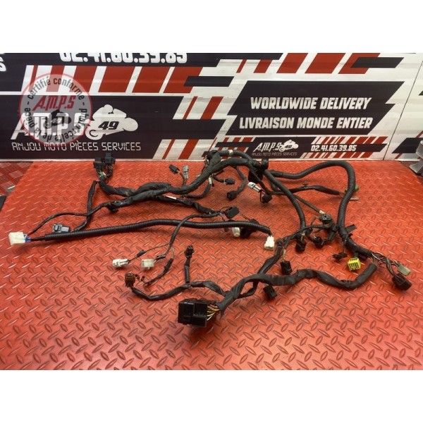 Faisceau électrique principale 