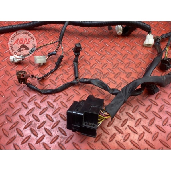 Faisceau électrique principale 