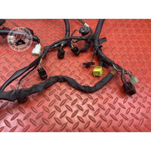 Faisceau électrique principale 