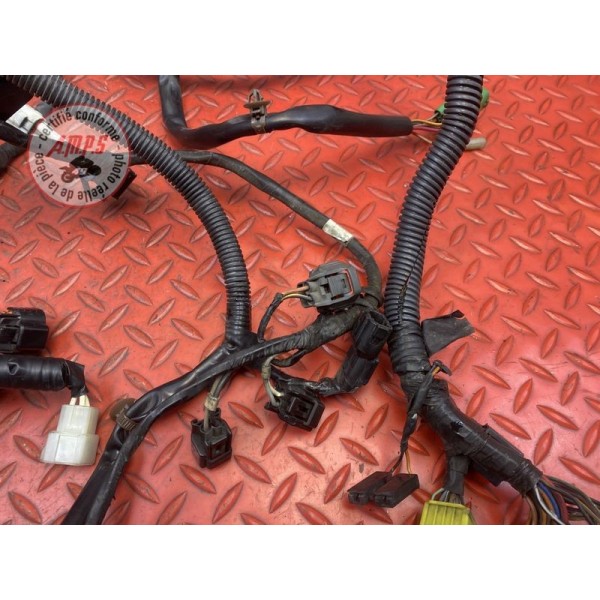 Faisceau électrique principale 