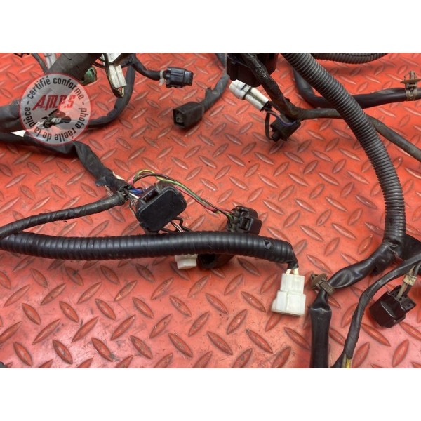 Faisceau électrique principale 