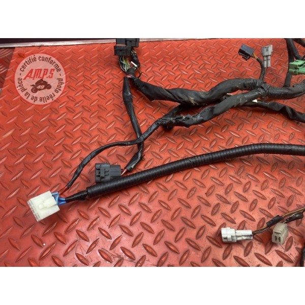 Faisceau électrique principale 