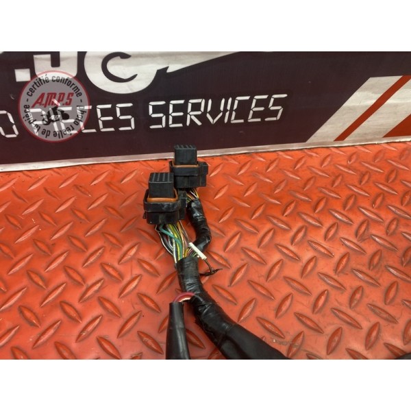 Faisceau électrique principale 