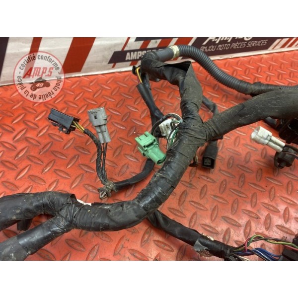 Faisceau électrique principale 