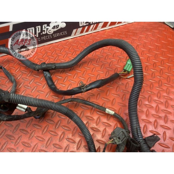 Faisceau électrique principale 