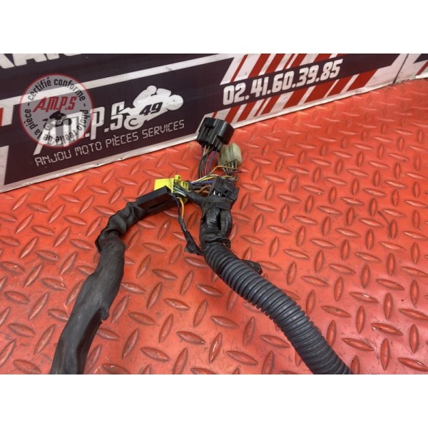 Faisceau électrique principale 